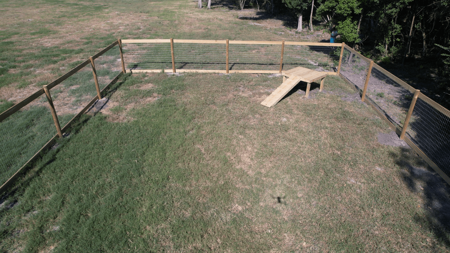 dogpark 3